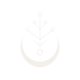 nocthex_logo_v3