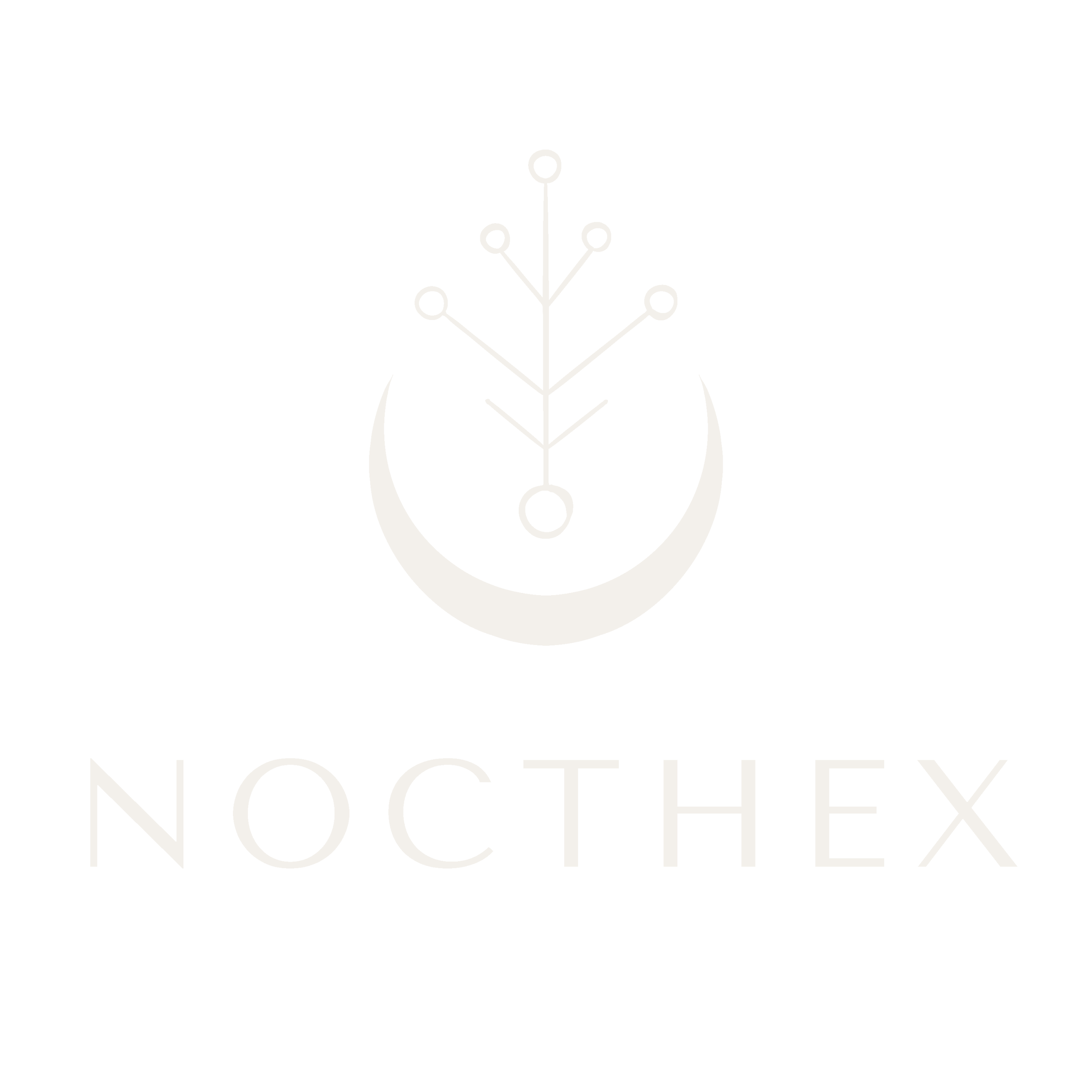 nocthex_logo